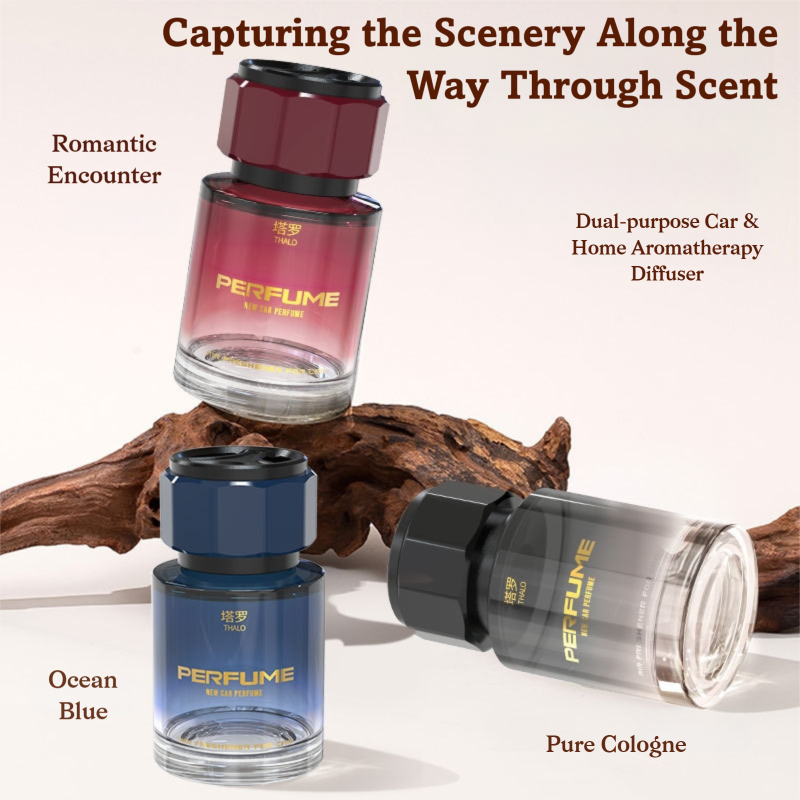 Fresh Natural Car Aromatherapy - Home Fragrance Aesop のレビューと価格