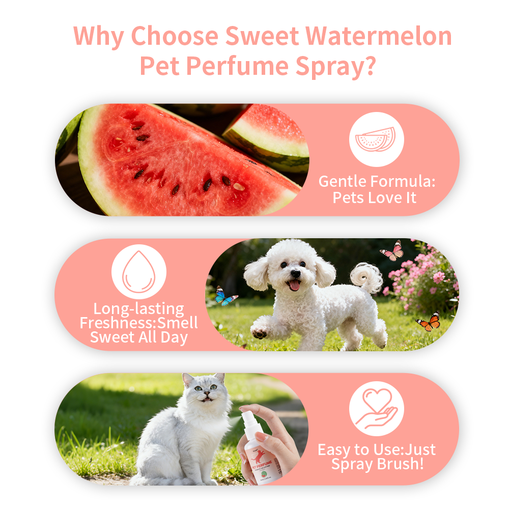 Watermelon Scent Pet Perfume C - Home Fragrance Aesop のレビューと価格