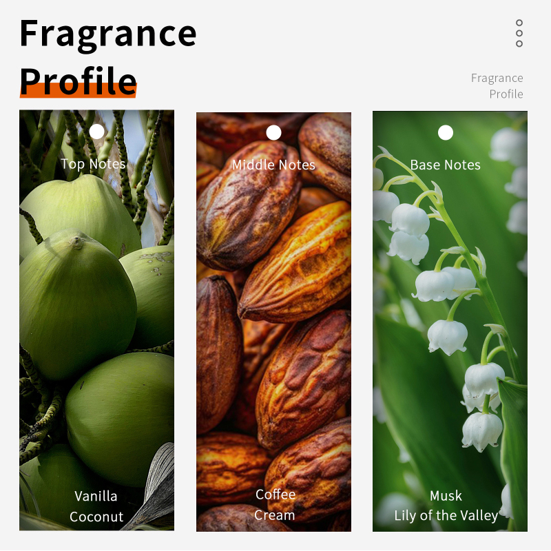Coconut Vanilla Chocolate Milk - Home Fragrance Vanilla Musk のレビューと価格