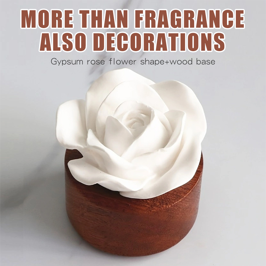 Odorless DIY perfume stone flo - Home Fragrance Aesop のレビューと価格