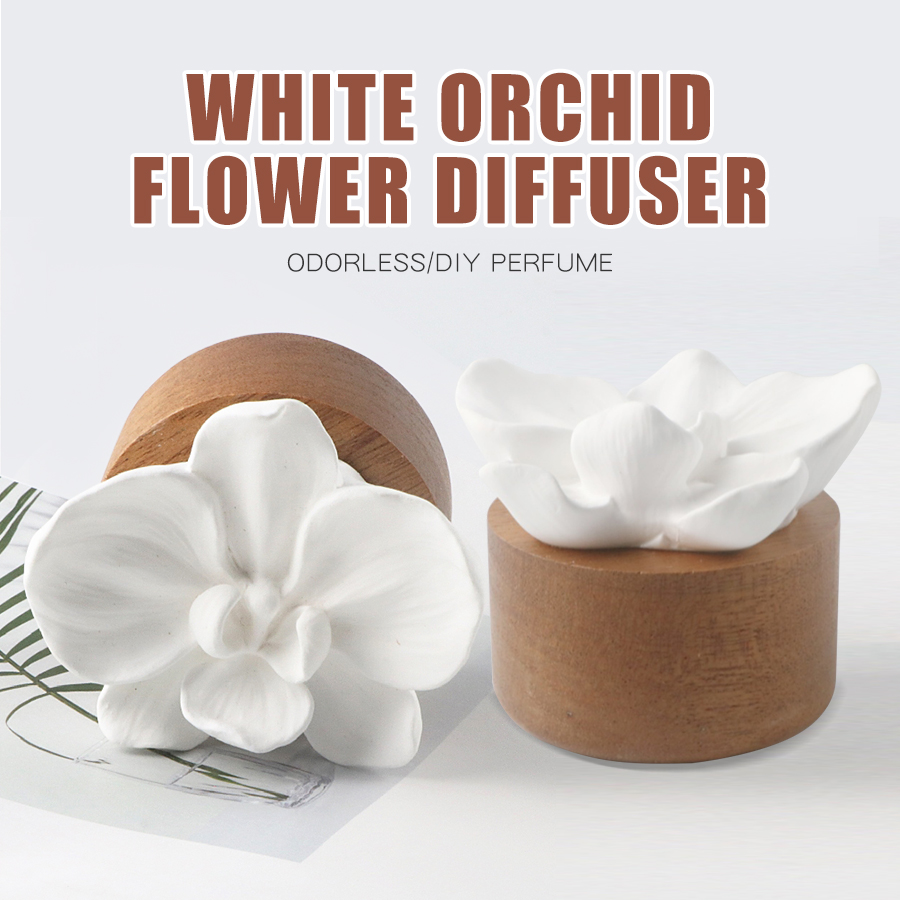 Odorless DIY perfume stone flo - Home Fragrance Aesop のレビューと価格