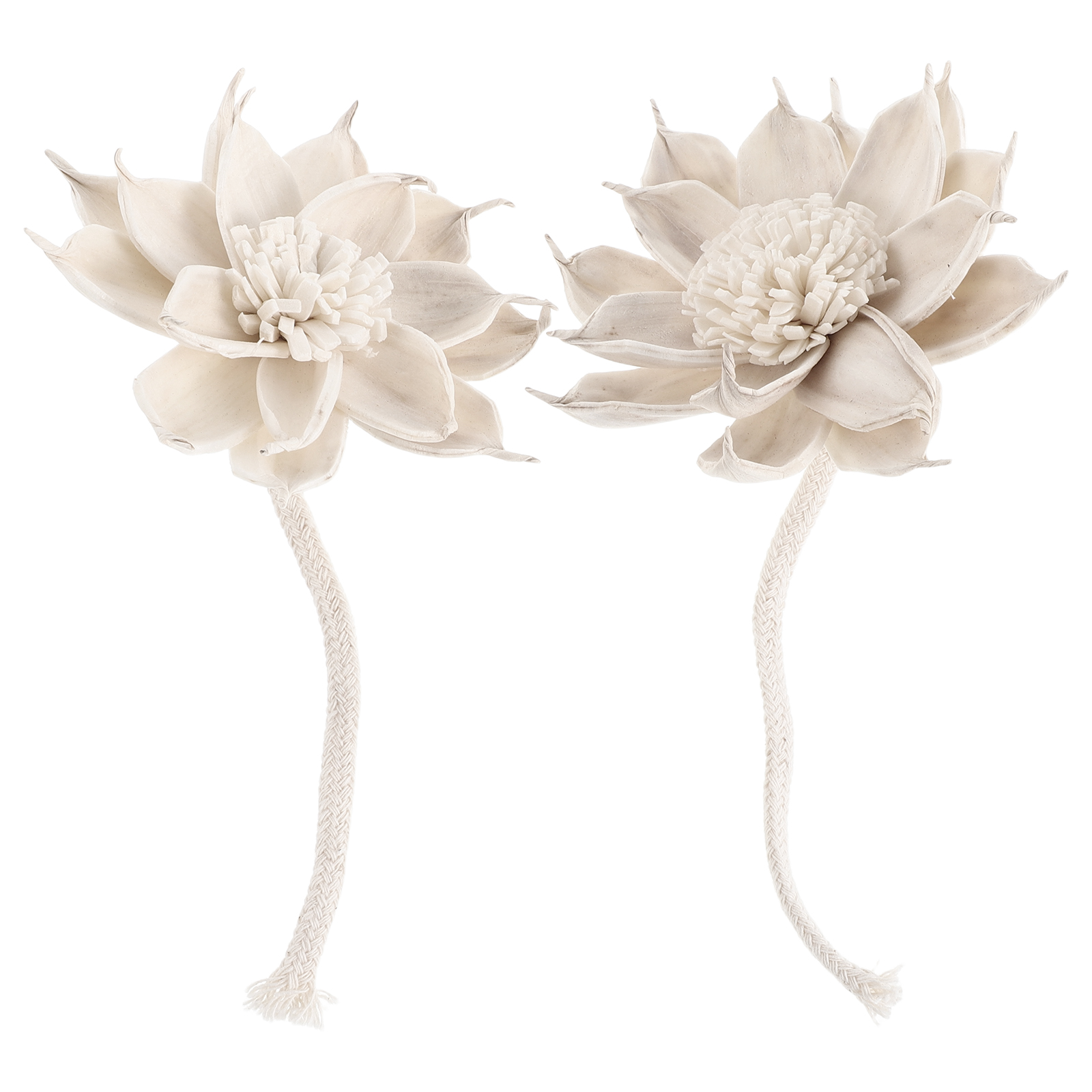 2Pcs Floral Aroma Diffuser Sti - Potpourri Dried Flower のレビューと価格