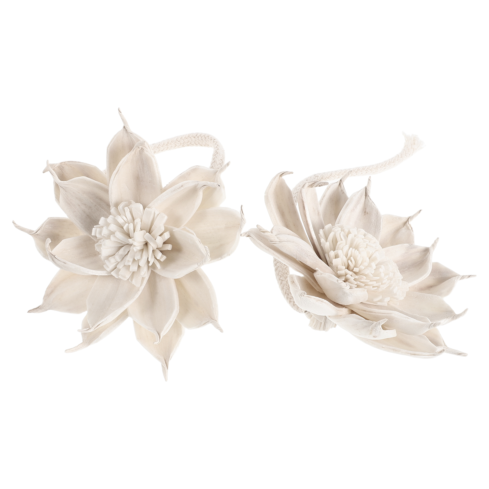 2Pcs Floral Aroma Diffuser Sti - Potpourri Dried Flower のレビューと価格