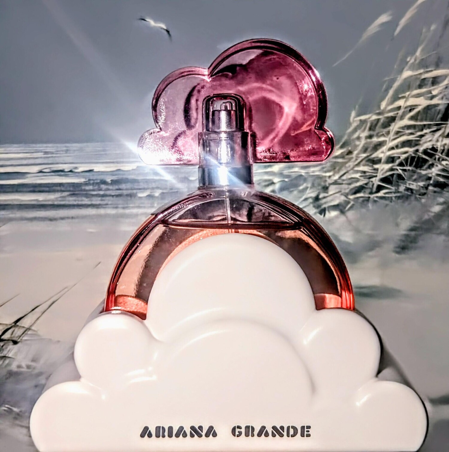Ariana Grande Perfume for Wome - Home Fragrance Vanilla Musk のレビューと価格