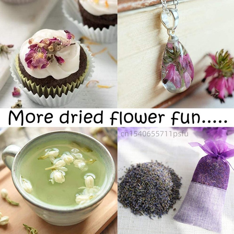 High-quality Natural Jasmine D - Potpourri Dried Flower のレビューと価格